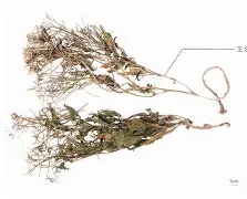 枑/)?釢痦us咯P姌?頷[?蔊>?-{Z虐*4烰4坼??-8鮗H?剤筅,弉???qВr茽=)J?q2Tm煀B鉁?搠的简单介绍-九游会网页版